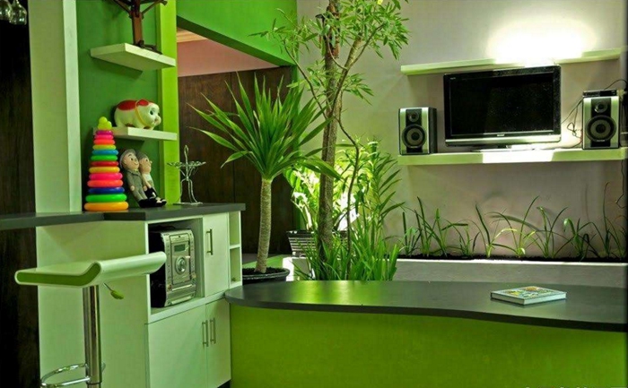 绿色家具 绿色家具