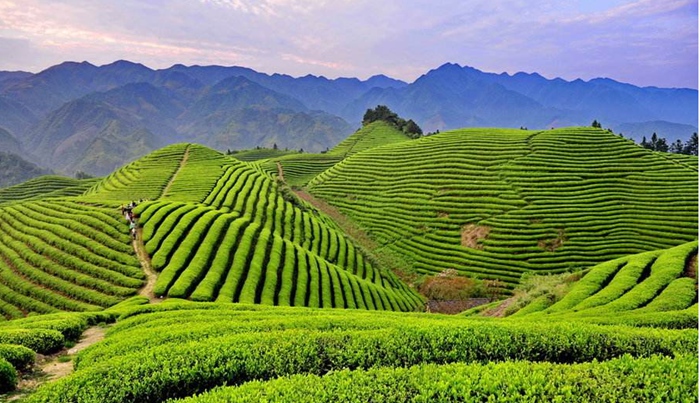 X5)N~VFV@9L%UZ2@I[T)PEC X5)N~VFV@9L%UZ2@I[T)PEC