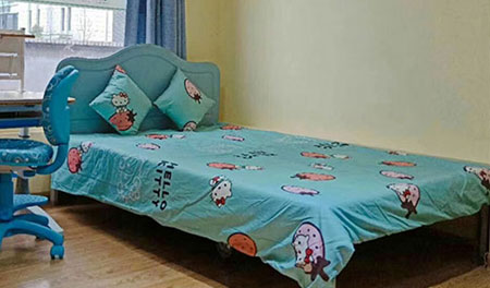 单层床-吸塑背板-SY-DX1